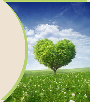 Firmenlogo Logo Baum